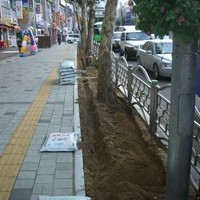 서울시 가로수 지중관수 자동 물주기 시공 