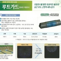 루트가드