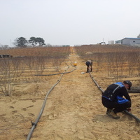 아노니아 점적 관수 시공