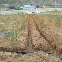 석모도 아노니아 농장 지중관수 시공