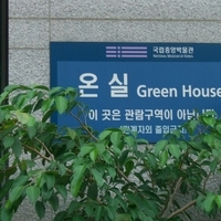 국립 중앙 박물관 내 유리온실 저압 에어포그 설계 시공