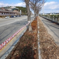 강릉 시청 의뢰 한솔초등학교 도로 인근의 녹지 루트가드 설치 시공