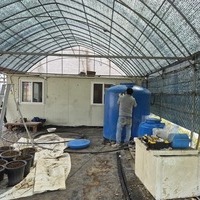경기 시흥시 블루베리 농가 관수 자동화 시설